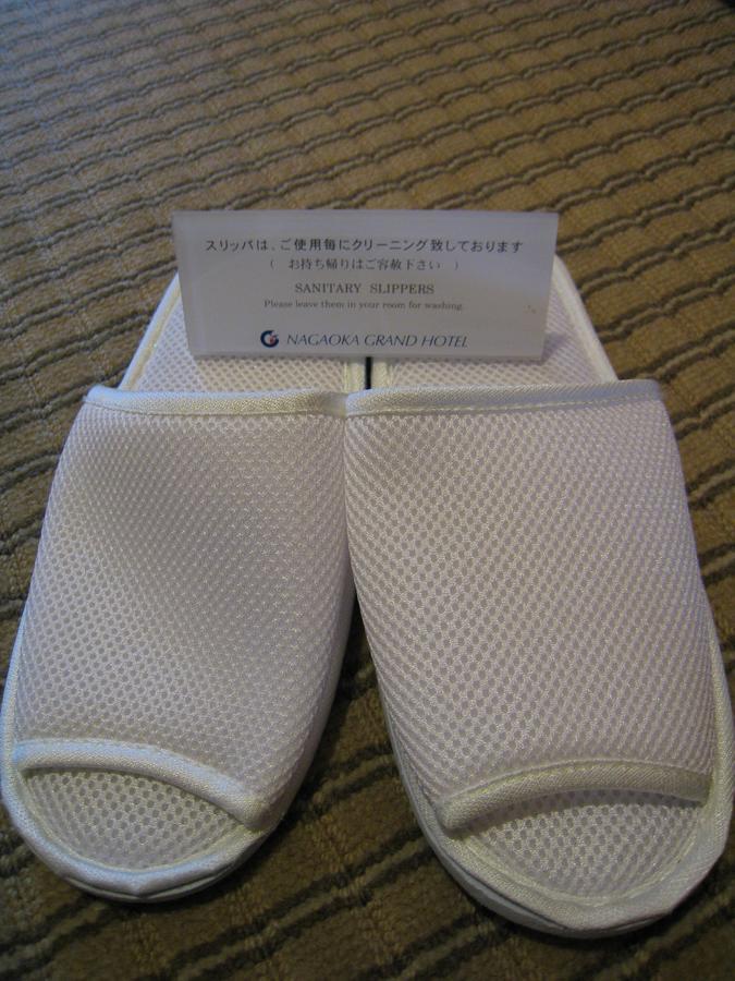 Nagaoka Grand Hotel Екстер'єр фото